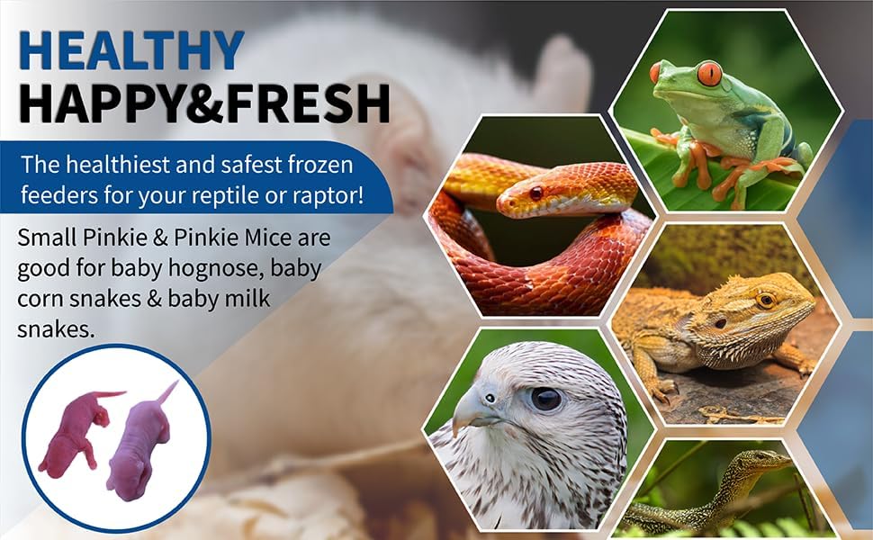 MiceDirect Frozen Mice Combo Pack of Small Pinkies & Pinkies Feeder Mice - Food for Corn Snakes, Ball Pythons, Lizards & Pet Reptiles- 40 Ounce (50 Count)