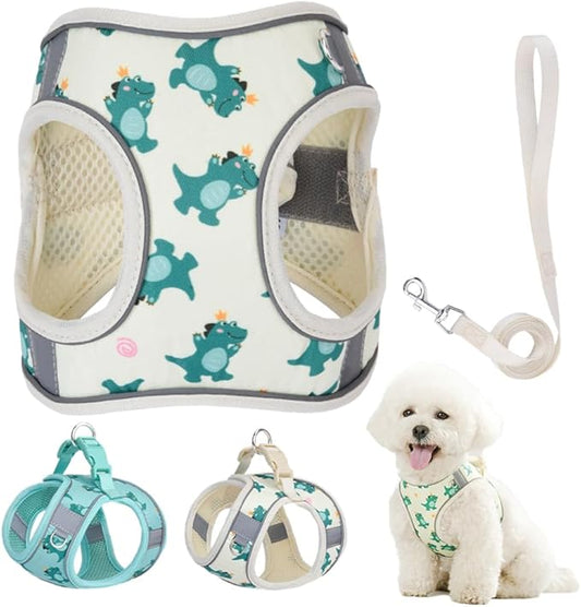 Step in Dog Harness and Leash Set, Flower Adjustable Easy Walk Puppy Harnesses, Soft Mesh No Pull Pet Vest Harness for Small Dogs and Cats(Beige, XXS)