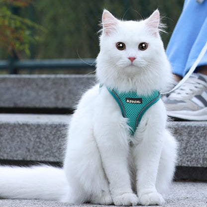 AIITLE Escape Proof Dog Harness - Step in Adjustable Dog Harness No Choke Over with Quick-Release Buckle for Summer- Outdoor Walking, Camping, Training for Medium Dogs Pure Turquoise XL