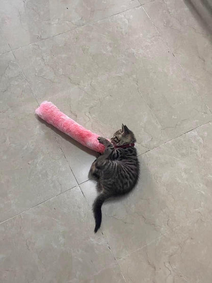 PAZ'S GIFT Catnip Toys - Cat Kick & Rope Toys for Indoor Play, cat & Kitten Teething Chew Toys for Aggressive Chewing & Teeth Cleaning (Cat Pillow)