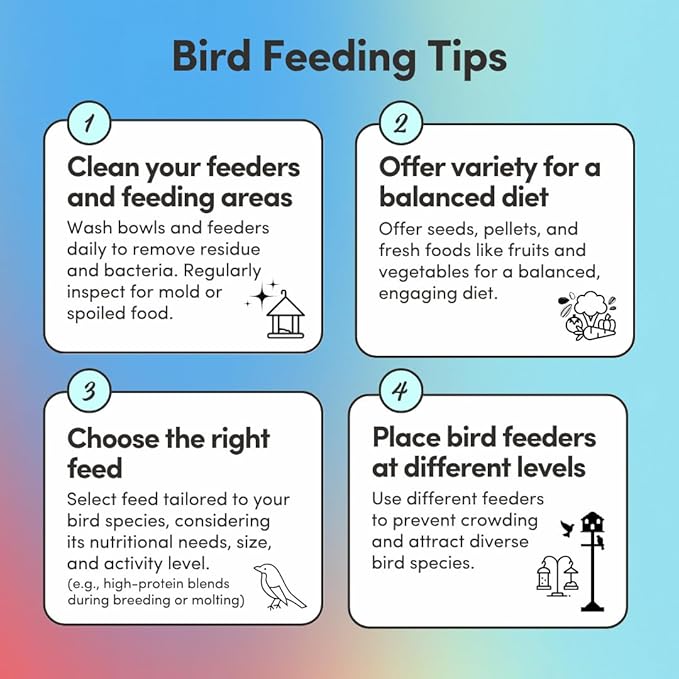 Mycelium Organic Small Hookbill Plus Feed (5 LBS) | High-Protein Bird Food for Parrotlets, Lovebirds, Cockatiels & Conures | Brain & Heart Support | Omega-Rich, Vitamin-Fortified | Non-GMO, USA Made