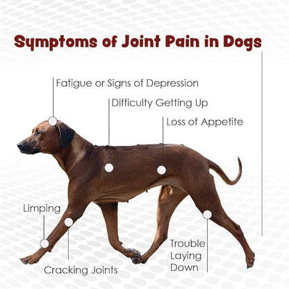 TS Joint Supplement Vet Formulated Pain & Inflammation Relief Treats Hip Dysplasia & Arthritis.Glucosamine, Chondroitin, Turmeric, MSM, HA, Creatine, Omega 3 EPA+DHA. All Dogs 240 Soft Chews