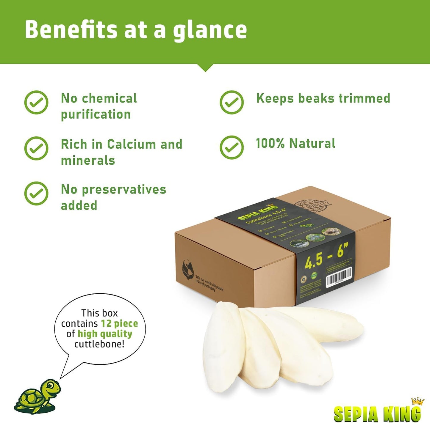 Medium - 100% Natural Calcium Supplement - Premium Cuttlebone Perfect for Birds, Tortoises, Snails, Reptiles - 12 Pack