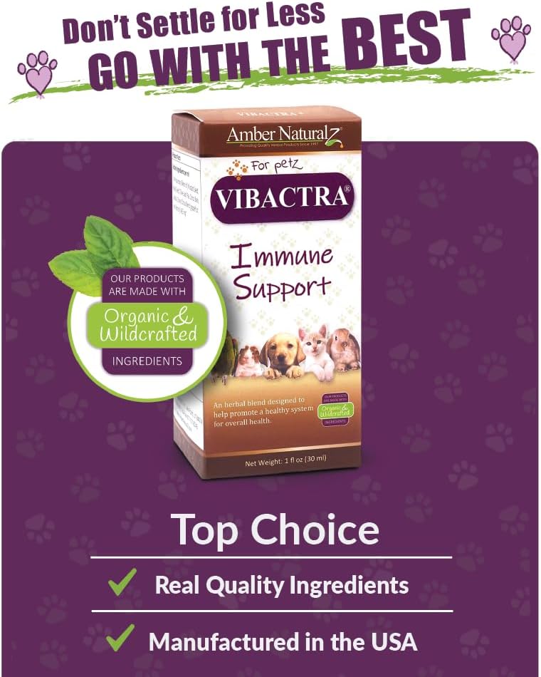 Amber NaturalZ Vibactra Immune Support Herbal Supplement for Dogs, Cats, Birds, Guinea Pigs, and Rabbits | Pet Herbal Blend for Overall Health | 1 Fluid Ounce Glass Bottle | Manufactured in The USA
