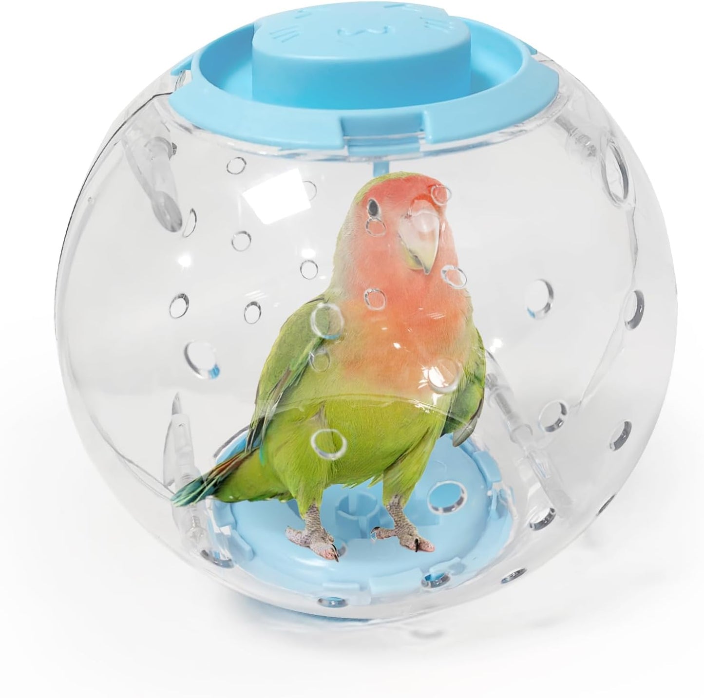 Bird Toys Parrot Running Ball for Small Birds Transparent Breathable Large Space for Parakeets, Conures, Budgies, and Lovebirds, Diameter 7.1-inch