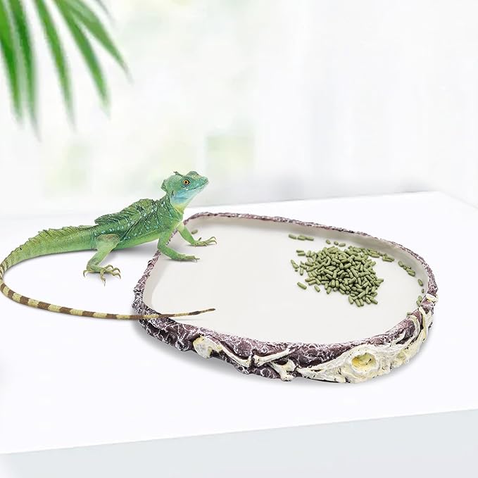Bearded Dragon Food Bowl Water Dish, Resin Reptile Feeder Kit, Tank Aquarium Terrarium Accessories, Feeding Bowl for Amphibian Hermit Crab Turtle Lizard Chameleon Frog - 8 × 6 × 0.8 inch