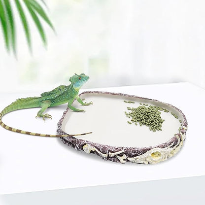 Bearded Dragon Food Bowl Water Dish, Resin Reptile Feeder Kit, Tank Aquarium Terrarium Accessories, Feeding Bowl for Amphibian Hermit Crab Turtle Lizard Chameleon Frog - 8 × 6 × 0.8 inch