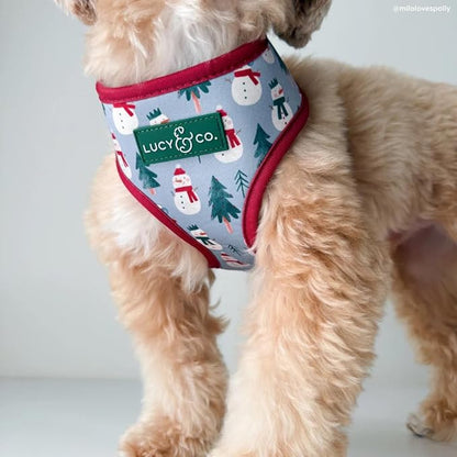 Lucy & Co. Cute Reversible Dog Harness Walking Halter - Best Designer Pet Harnesses for XS - XL Dogs - Padded Adjustable Vest for Easy Walking-XLarge-Gray & White Snowman