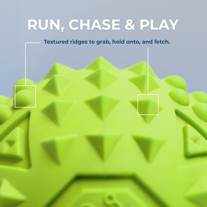 Best Pet Supplies Squeaky Dog Toys with Soft Durable Fabric for Small, Medium and Large Pets Interactive Toy for Indoor Play, Supports Active Biting and Play - Green (L:3.5")