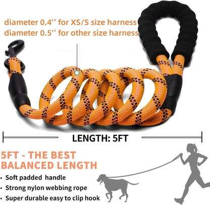 Custom Personalized No Pull Dog Harness with ID Name Phone Number and Rope Dog Leash Set, Heavy Duty Reflective Easy On Pet Vest Harness for X-Small Small Medium Large X-Large Dogs