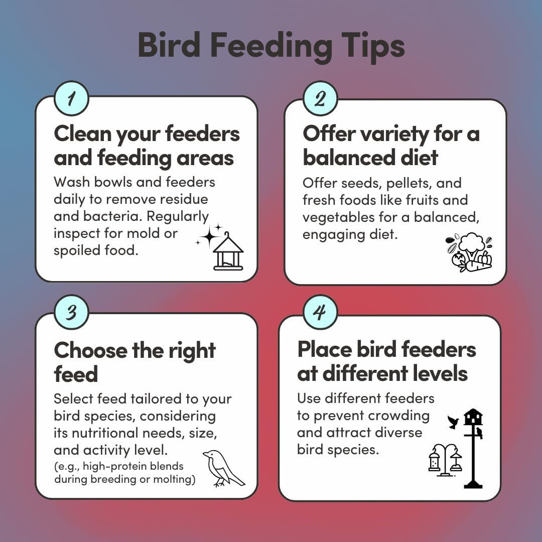 Mycelium Organic Macaw Bird Food (5 LB Bag) | Premium Seed, Pellet & Kibble Blend for Large Parrots | High-Protein, Digestive & Feather Support | Non-GMO, USA-Grown