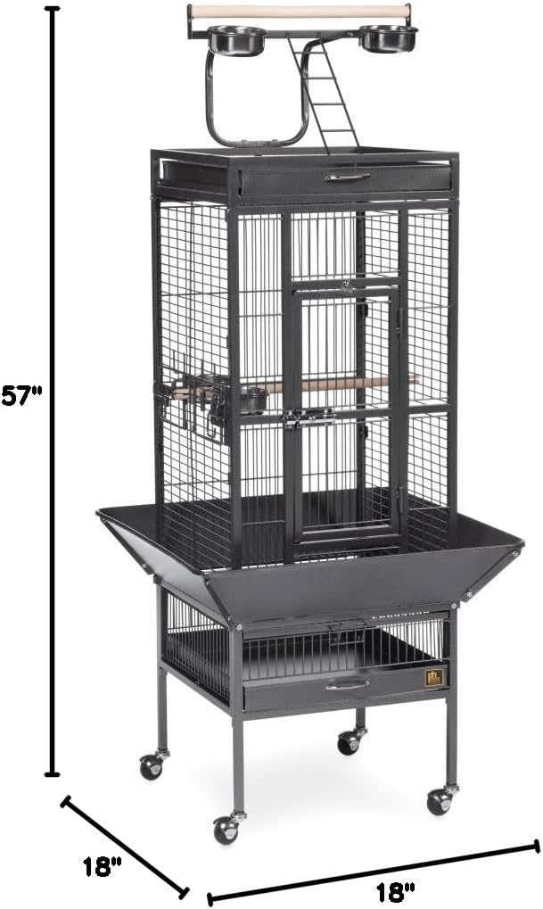 Prevue Pet Products Wrought Iron Select Bird Cage Black Hammertone 3151BLK, 18'' x 18'' x 57''