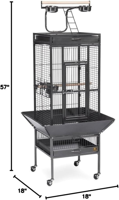 Prevue Pet Products Wrought Iron Select Bird Cage Black Hammertone 3151BLK, 18'' x 18'' x 57''