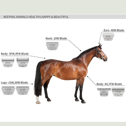 Detachable Pet Dog Grooming Blades-Size 30W Dog Grooming Wide Blade,Cutting length 1/100",Compatible with A***s,Oster A5,Wahl km10 Clippers