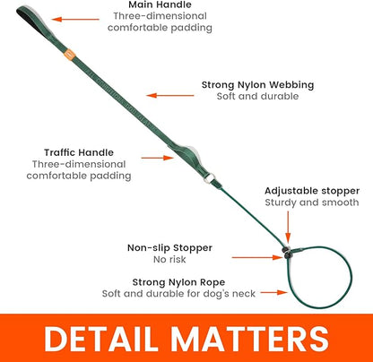 Howgo Dog Slip Lead Dog Leash, Training Lead, No-Pull Slip Leash and Collar, Heavy Duty & Durable Nylon, Padded Handle, for All Breeds (Green, 5FT)