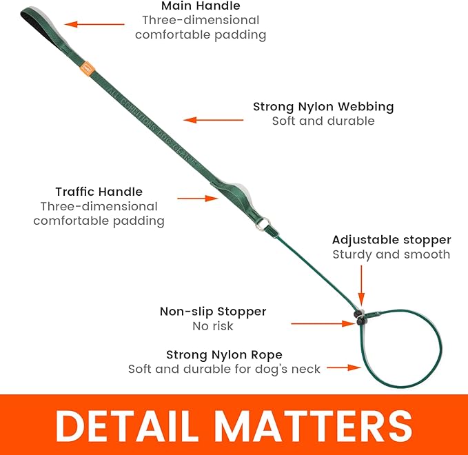 Howgo Dog Slip Lead Dog Leash, Training Lead, No-Pull Slip Leash and Collar, Heavy Duty & Durable Nylon, Padded Handle, for All Breeds (MintGreen, 5FT)