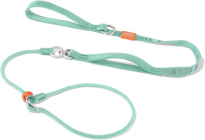 Slip Lead Dog Leash with Double Handles | Reflective Dog Training Leash with 360° Swivel Anti-Tangle | Heavy-Duty Leash and Collar for Large Medium and Small Dogs No-Pull Walking (Mint Green, 5.5FT)