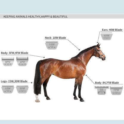 10W Wide Pet Dog Grooming Detachable Blades,Compatible with Andis,Oster A5,Wahl KM10 Clippers,Cut Length 1/16"(1.5mm),Fit for Larger Animals