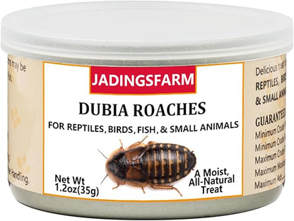 6 Pack Canned Dubia Roaches for Reptiles, Birds and Small Animals, Dubia Roaches, Healthy High Protein Treat, Reptile Food 7.2 Ounces Total