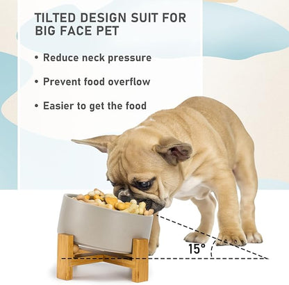 SPUNKYJUNKY 15° Slanted Ceramic Dog and Cat Bowl with Wooden Stand, Tilted Bulldog Food and Water Bowl No Slip Non-Spill for Cats Medium Dogs Big Face Pets 28.7 OZ (3.6 Cups, Grey)