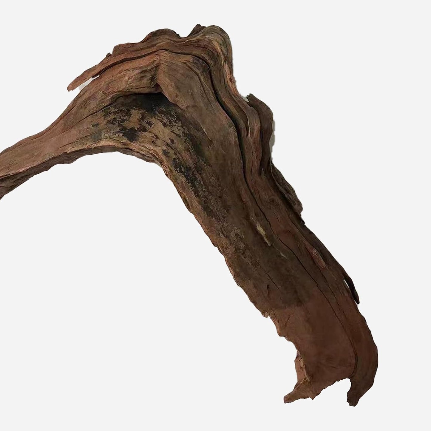 LYPHARD AQUARIUMS Natural Driftwood for Aquarium Decor, L25.59×W4.33×H15.75 Inches Large Drift Wood Decorations for Reptile Hide, Fish Tank, Optional Shapes