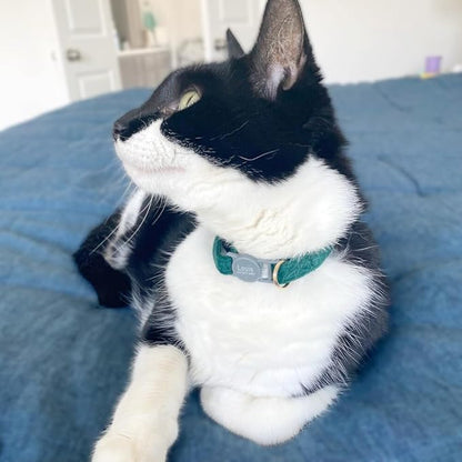 Personalized Breakaway Cat Collar with Engraved Name and Phone Number - Customizable Kitten Collars for Boys and Girls