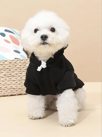 QWINEE Basic Dog Hoodie Sweatshirt Puppy Sweater Warm Cat Costumes Pet Clothes for Chihuahua Puppy Kitten Small Medium Dogs Black Green and Grey Small