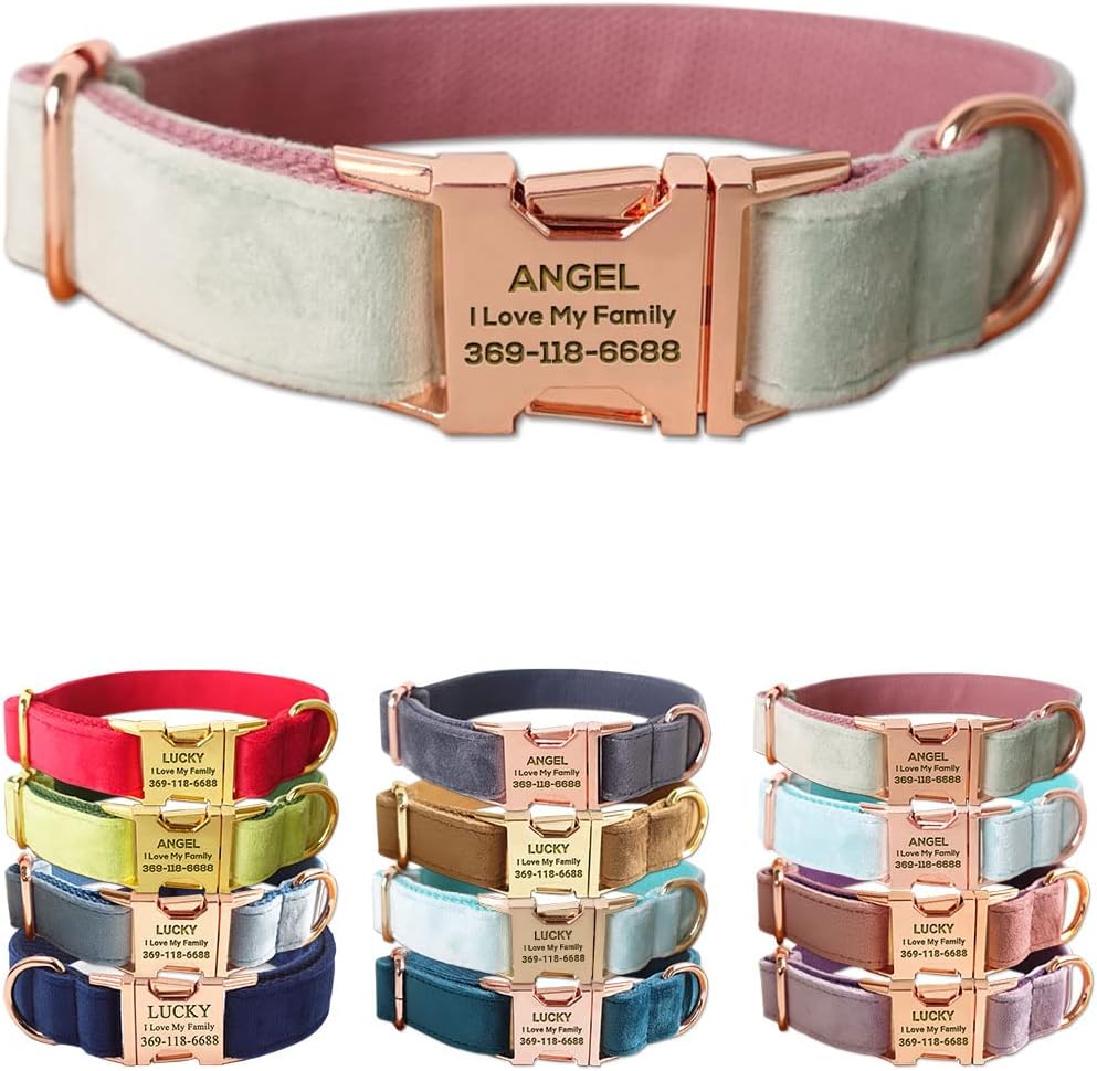 PETDURO Custom Dog Collar Personalized with Name Engraved Quick Release Rose Gold Metal Buckle for Large Medium Small Girl Dogs - Dog Leash and Bow Tie Available - Soft Comfy Velvet (Mint Pink, XS)