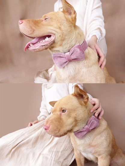 PETDURO Personalized Dog Collar Pink Purple Soft Velvet for Large Medium Small Boy Girl Dogs - Custom Collar with Name Phone Engraved on Rose Gold Metal Buckle - Add Leash Bow Set via Customize Now