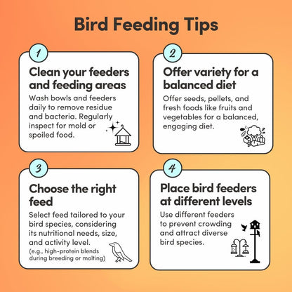 Mycelium Finch & Sparrow Superfood (5 LBS) | Organic Bird Food for Small Birds | Vitamin-Enhanced for Immunity, Brain & Heart Support | Non-GMO, Clean Ingredients, Made in USA