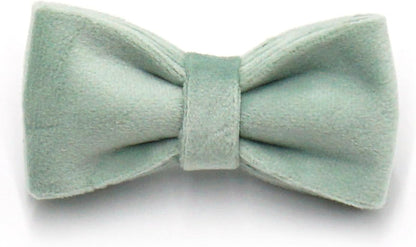 Personalized Cat Collar with Bells,Velvet Customized Small Cat Collar with Name Tag,Pet Collar with Name Phone Number Engraved ID Tags for Boy and Girl Kitten Cats (White Tea)