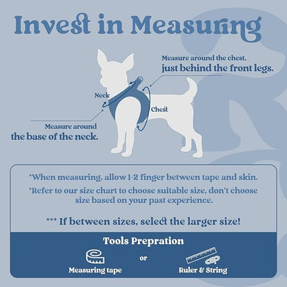 rabbitgoo Small Dog Harness, Step-in Soft Mesh Puppy Vest with Safety Buckle, Breathable Reflective Pet Harness for Small Sized Dogs, Navy Blue XS