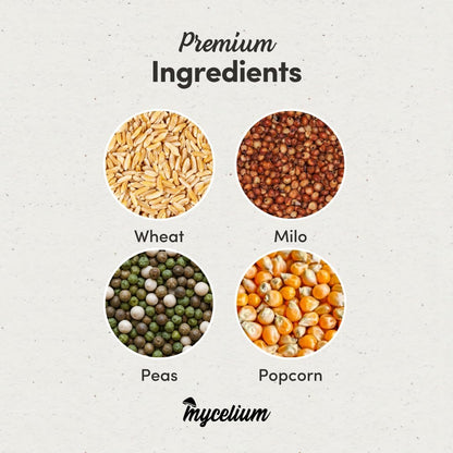 Mycelium Organic Pigeon Plus Bird Seed (5 LB Bag) | Premium Wild Bird Food for Growth, Strength & Daily Energy | Whole Grain Blend with Popcorn, Peas, Milo & Wheat | Non-GMO, No Fillers, Made in USA