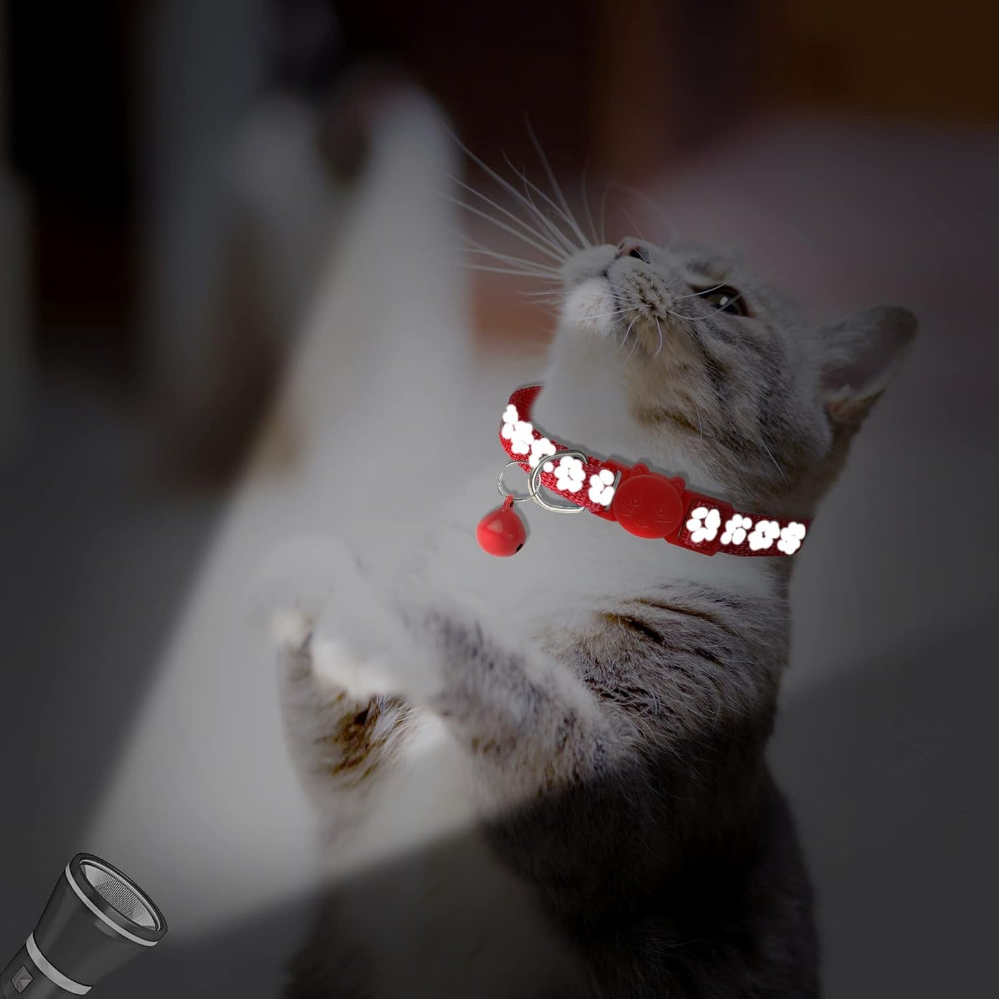 BANMODER 2 Pack Reflective Cat Collar Breakaway with Bell,Personalized Kitten Collars,Adjustable Safety Buckle Collar for Male Cats Girls & Boys (Red)