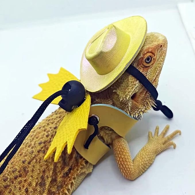 Adjustable Bearded Dragon Leash Harness with Hat Set,3 Size Pack Leather Wings Safty Walking Leash for Bearded Dragon Lizard Reptiles (Silver Hat and Black Harness Set)