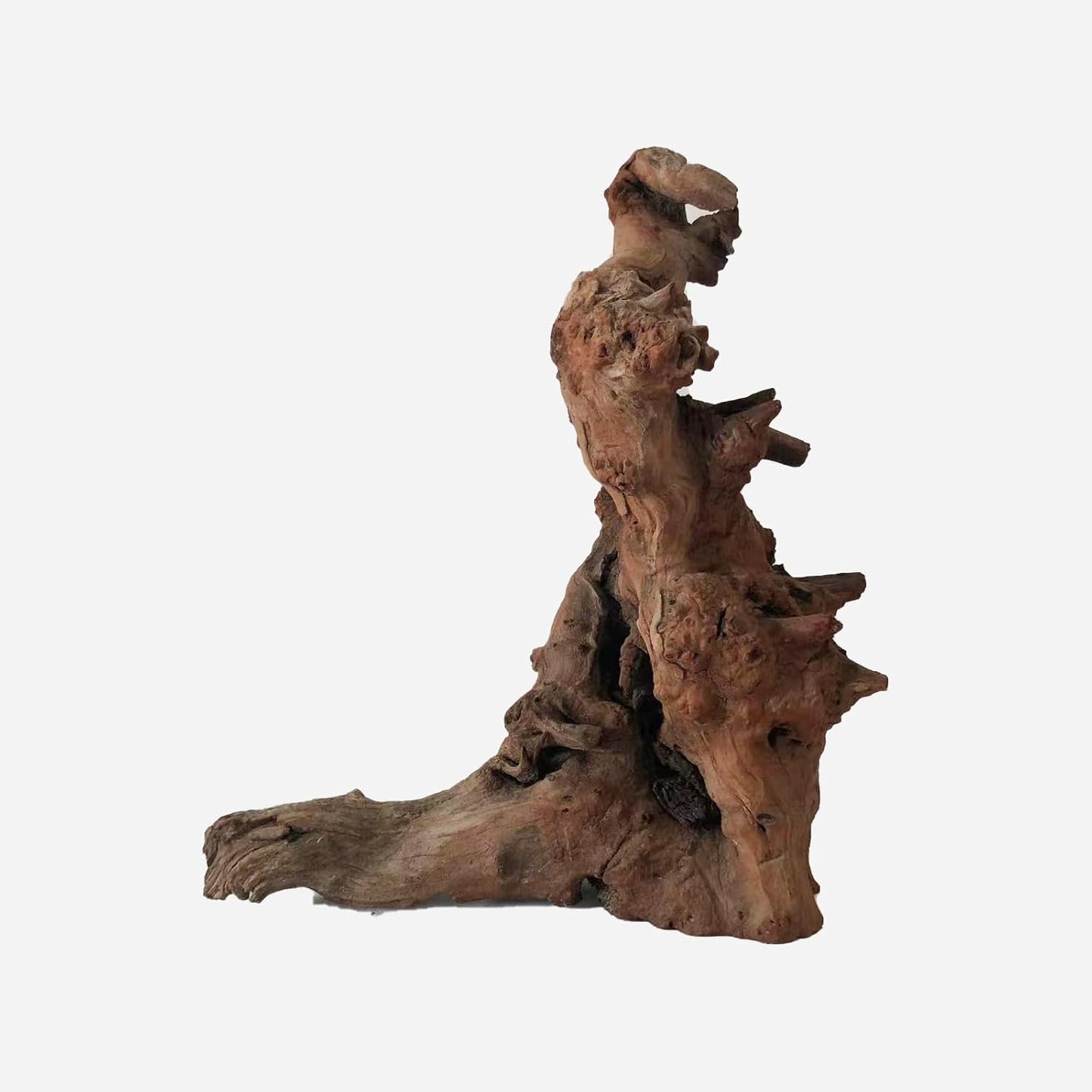 LYPHARD AQUARIUMS Natural Driftwood for Aquarium Decor, L12.2×W7.48×H13.78 Inches Large Drift Wood Decorations for Reptile Hide, Fish Tank, Optional Shapes