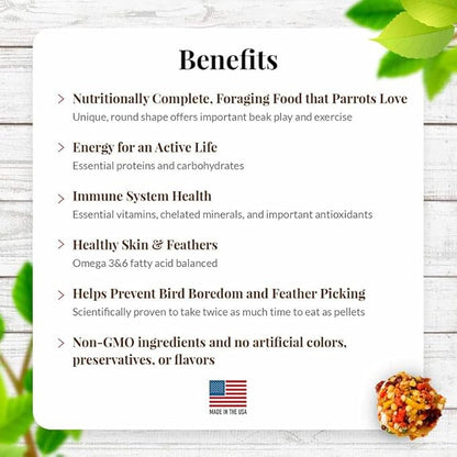 LAFEBER'S Sunny Orchard Nutri-Berries Pet Bird Food, Made with Non-GMO and Human-Grade Ingredients, for Parrots (10 oz Pack of 2)