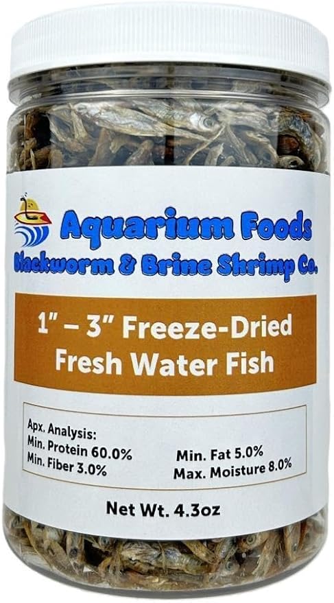 Aquatic Foods Inc. Freeze Dried 1"- 3" Fresh Water Fish for Piranhas Large Fish, Land and Aquatic Turtles, Rodents, Reptiles, Lizards, Cat Treats & More…4.3oz Lg Round Jar