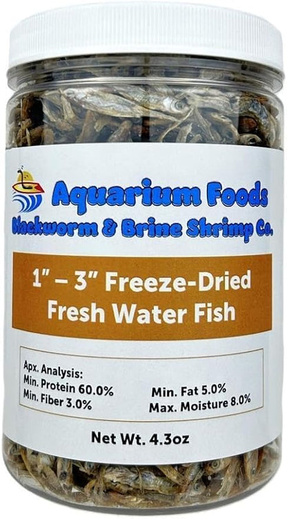 Aquatic Foods Inc. Freeze Dried 1"- 3" Fresh Water Fish for Piranhas Large Fish, Land and Aquatic Turtles, Rodents, Reptiles, Lizards, Cat Treats & More…4.3oz Lg Round Jar