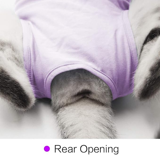 Cat Surgery Recovery Suit Cat Onesie for Cats After Surgery Spay Surgical Abdominal Wound Skin Diseases E-Collar Alternative Wear (Pruple-M)