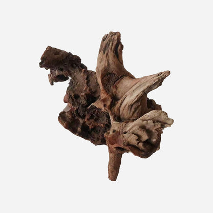 LYPHARD AQUARIUMS Natural Driftwood for Aquarium Decor, L18.5×W7.09×H11.02 Inches Large Drift Wood Decorations for Reptile Hide, Fish Tank, Optional Shapes