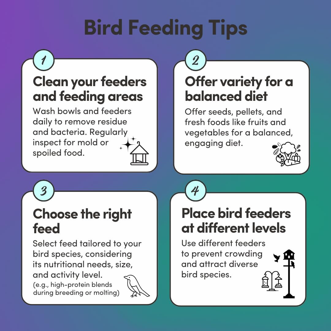 Mycelium Organic Racing Pigeon Food (5 LB Bag) | High-Protein Bird Seed with Vitamin Premix | Supports Endurance, Muscle Recovery & Flight Performance | Non-GMO, No Fillers, Made in USA