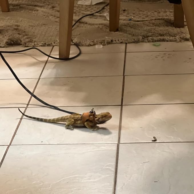 3 Pack Bearded Dragon Harness Leash Set Adjustable Soft Suede Leather Vest Harness with Retractable Leash, Small Animal Outdoor Walking Vest with Traction Rope