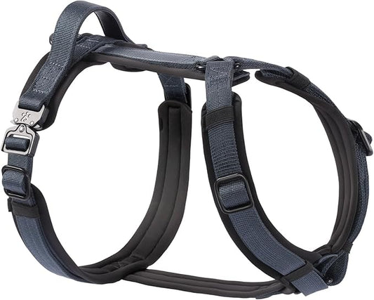 PawsPassion Dog Harness for Medium Dogs, No Pull Dog Harness Easy Walk with Metal Hardware, Ergonomic Y-Shaped Design, Soft Padding, Padded Handle, Durable High-Tensile Nylon (Nightfall, M)