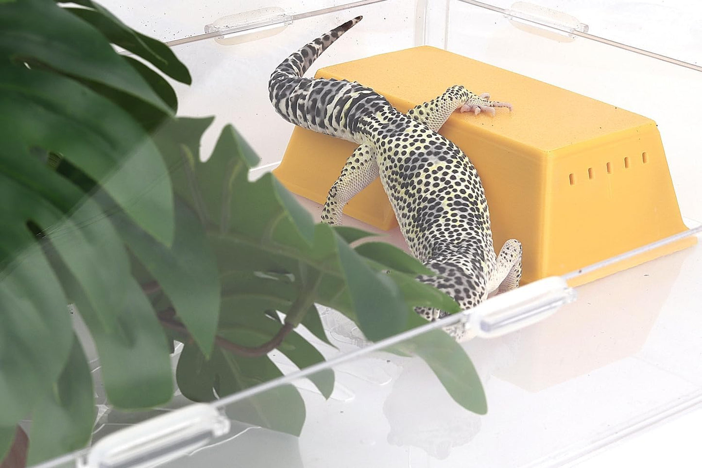 Snake Hide, Leopard Gecko Tank Accessories for Reptile Ball Python Crested Gecko Lizard Bearded Dragon - YellowHideS