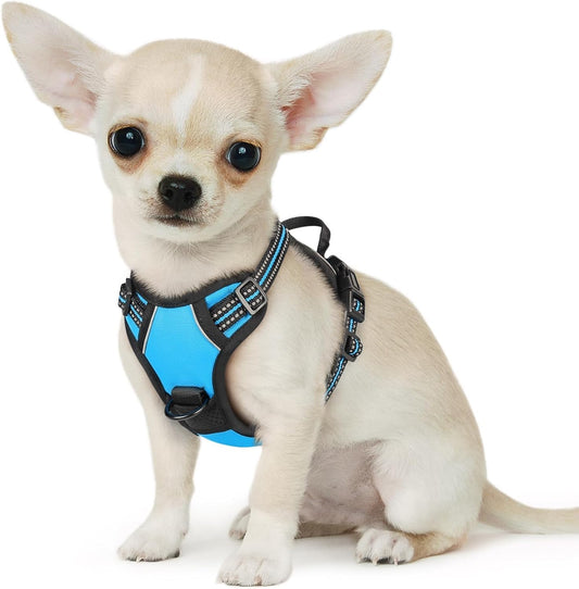 Eagloo Small Dog Harness No Pull, Service Vest with Reflective Strips and Control Handle, Adjustable and Comfortable for Walking, No Choke Pet Harness with 2 Metal Rings, Sky Blue, XS