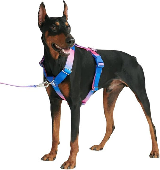 Spark Paws No Pull Dog Harness for Large Dogs, Heavy Duty Dog Harness for Big Strong Breeds, Adjustable, Y Shaped Padded Halter Design with Front Clip - Snow Cone - S