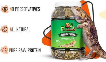 Medley Treat Bearded Dragon Food - Freeze Dried Mealworms, Grasshoppers, Crickets, Quality Tested, Vitamin & Calcium Enriched, Essential Proteins, Fats & Minerals - For Bearded Dragons, Reptiles 2.5oz