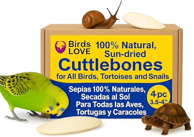 Birds LOVE 4-Piece Cuttlebone 3.5–4-Inch with Holder – Natural Calcium & Trace Mineral Block for Birds & Reptiles – Beak-Trimming Chew Supplement – Safe, 100% Pure, No Fillers