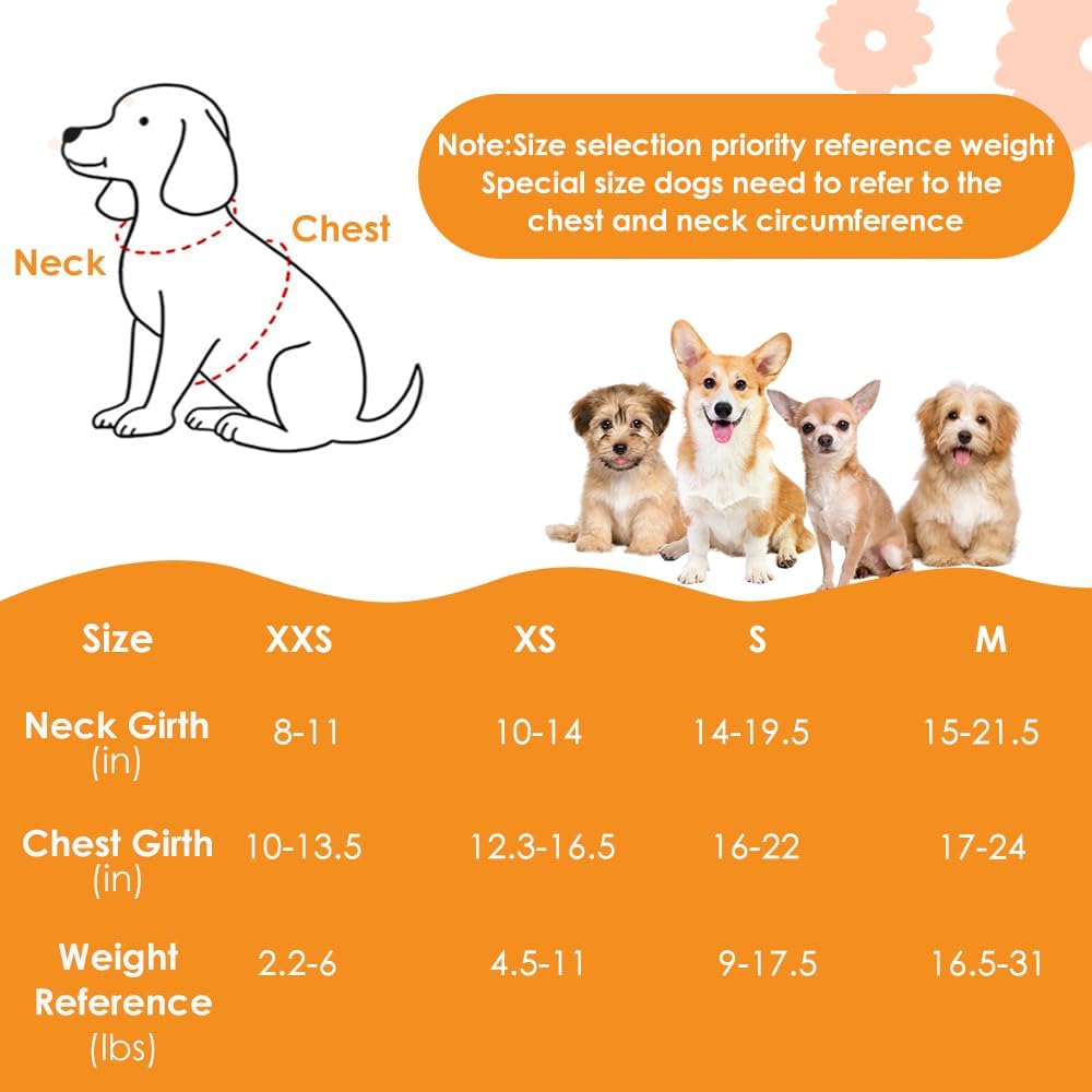 Lukovee No Pull Puppy Harness and Leash Set - Soft Lightweight Escape Proof Puppy Vest Harness, Breathable Adjustable Pet Harness with Dog Leash for Small Dogs (Black, XXS)